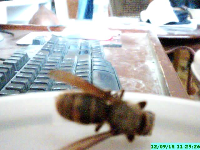 Logi15